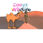 Zooyz Wildlife