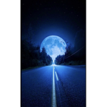MoonLight Sanctuary
