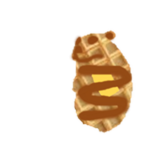 Waffle Chomik