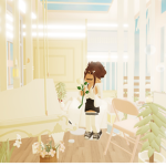 Ashes’s shop