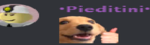 RoyalDevs