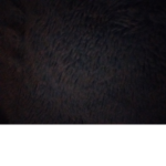 this is my group for my yt