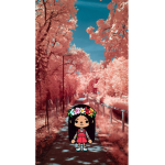 Autumn pink