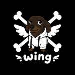 Wing Pirates