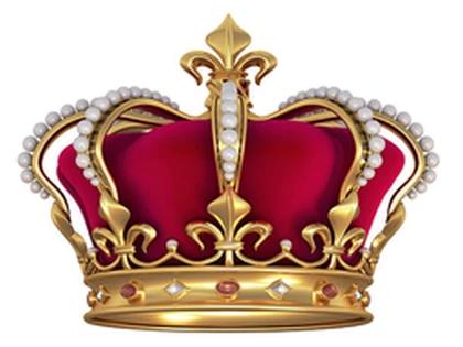 Sly royale Roblox group icon