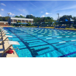 Swim People Swim