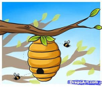 the hive!