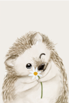 myLitle_pony