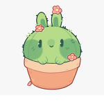 Cacti Squad!!!