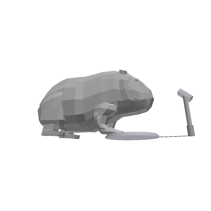 guinea pig morph updated