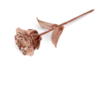 Rose Gold Fan Group