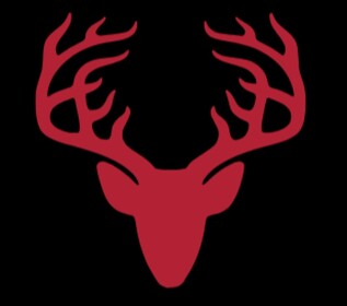 [THE CHURCH BETA 1.1]
