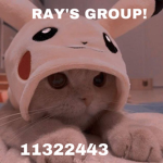 RAY'S GROUP!