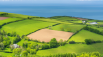 vinland(CCC)