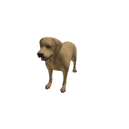 SRLDog