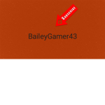 BaileyGamer43