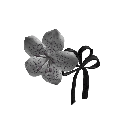 white flower and black ribbon hairclips