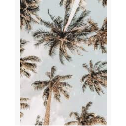 Tropics ttc