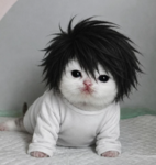 cutestvictims