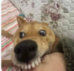 뭐?