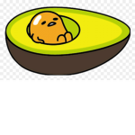 AVOCADOS ONLY CULT