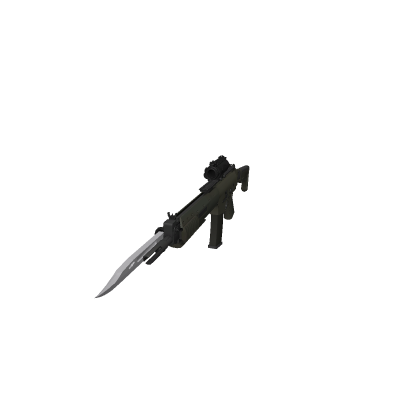 DP Rifle Ak5c 2 for samme if he want
