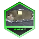 NEaNEaAST