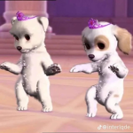 Only girls ONLY GIRLS