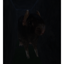Amitra (alpha)