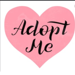 Adopt me giveways