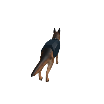 K-9 Division