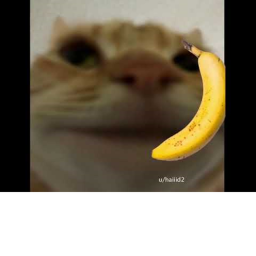 Banana Island