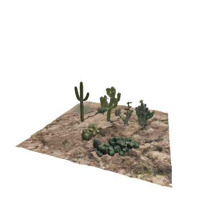 PBR Desert Plants