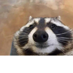 Ryan's Obby for Admin