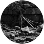 OASIS OF THE WIND IV