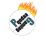 Panda Studios of Entertainment