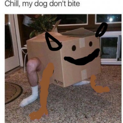CARDBOARD DOG (FLAMINGO)_LI Roblox decal
