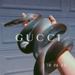 GuccixGang