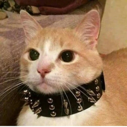 The emo cat Among us gang Roblox group icon