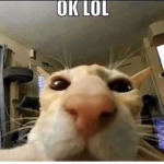 GalaxyPandaMeme