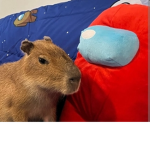 Grupo Dorime de piggy