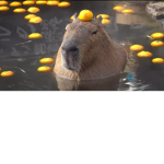 Capybara! Gang