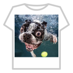 Crazy Underwater Dog