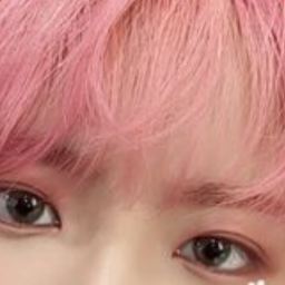 ˗ˏˋ꒰ 🌸 ꒱