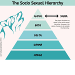 SIGMAS ONLY NO GIRLS ALLOWED