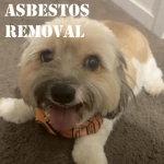 asbestos removal Group Thumbnail