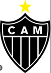 Atletico mineiro 2014