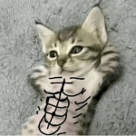 seyuji