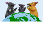 The RatsSs or the rat