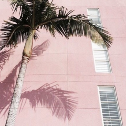 pink palm Roblox decal